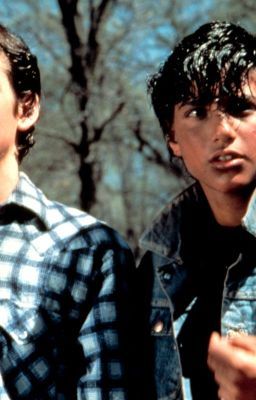 The Outsiders Johnny, The Outsiders Ponyboy, The Outsiders Cast, Outsiders Movie, The Outsiders Greasers, The Outsiders 1983, Teen Movies, Ralph Macchio, Movies And Series