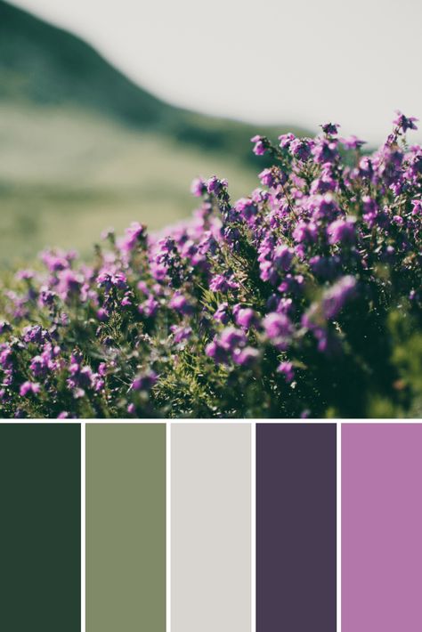 Spring Color Palettes - This Growing Home Enchanted Forest Palette, Purple Green Brown Color Palette, Lavender Color Pallete, House Pallete Color Palettes, Scotland Color Palette, Green And Lavender Aesthetic, Dark Spring Color Palette, Green And Lavender Bedroom, What Color Goes With Purple