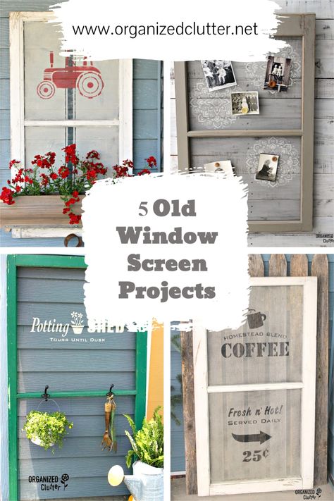 Repurpose Old Screen Door, Old Storm Windows Repurposed, Repurposed Windows Decor, Old Screen Doors Repurposed Ideas, Old Window Screen Ideas, Repurpose Window Screens, Painted Window Screens Diy, Old Screen Window Ideas Diy Projects, Vintage Window Screen Ideas