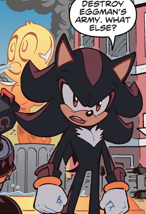 Idw Sonic, Beginner Sketches, Shadow And Amy, Fancy Art, Sonic Funny, Sonic Fan Characters, Sonic Franchise, Hedgehog Art, Sonic And Shadow