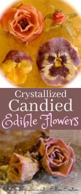 Teaching Gardening, Candied Flowers, Tipsy Tuesday, Horticultural Therapy, Flowers Recipes, Dipped Fruit, Dessert Easter, Floral Cookies, Drink Making