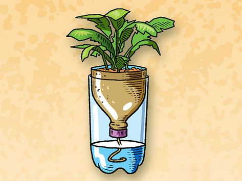 Six Projects to Make With Recycled Plastic Bottles and Jugs – Scout Life magazine Plantarea Legumelor, Recycling Ideas, Planting Ideas, Bottle Garden, Have Inspiration, Self Watering Planter, Plants Garden, Hanging Garden, Garden Stuff