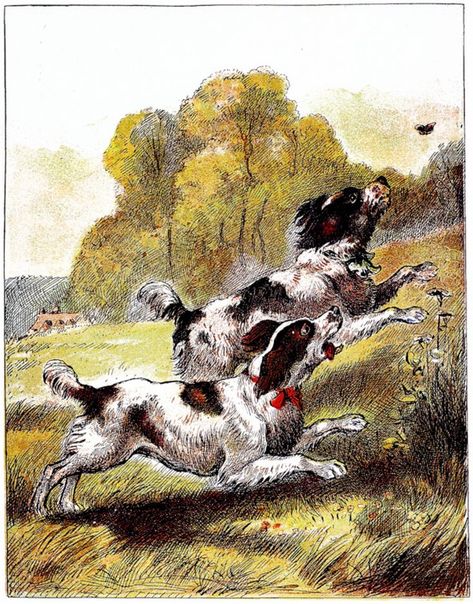 Dogs chasing a butterfly across a field Vintage Book Illustration, Antique Illustration, Animal Species, Dog Stuff, A Butterfly, Free Illustrations, Book Illustration, Vintage Book, Vintage Illustration