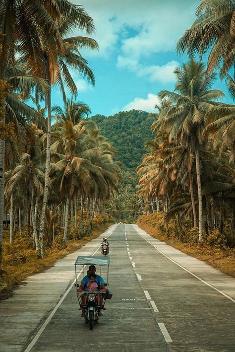 Siargao Island, Philippines Siargao Philippines, Siargao Island, Philippines Culture, Siargao, Scenic Roads, Adventure Aesthetic, Manila Philippines, Philippines Travel, Palawan