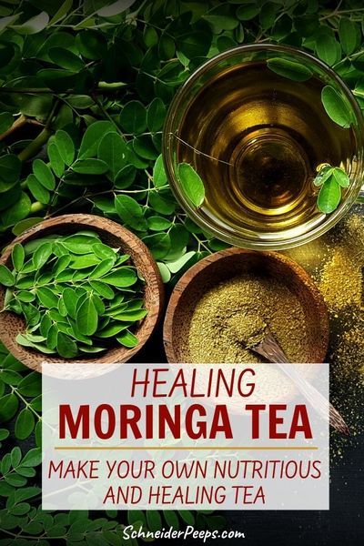 Moringa Tea, Benefits Of Moringa, Moringa Benefits, Moringa Seeds, Moringa Leaves, Moringa Powder, Healing Tea, Herbal Healing, Herbs For Health