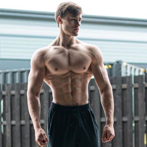 Jeff Seid, Fitness Friends, Gym Guys, Ripped Body, Gym Food, Gym Tips, 남자 몸, Gym Fits, Male Fitness Models