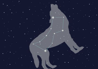 Wolf Constellation, Orion Tattoo, Sagittarius Tattoo Designs, Aquarius Constellation Tattoo, Taurus Constellation Tattoo, Virgo Tattoo Designs, Night Wolf, Aquarius Constellation, Taurus Constellation