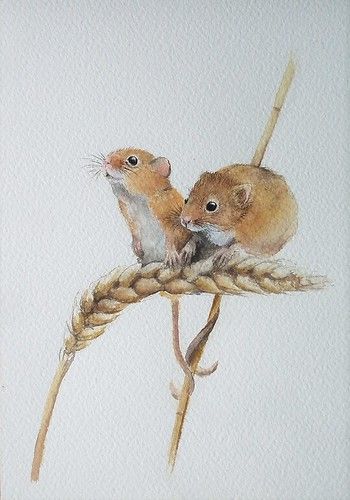 Field Mice, Wood Slice Art, Watercolor Subjects, Painting Classes, Painting Tutorials, Cute Easy Drawings, Watercolor Inspiration, Water Painting, Watercolor Techniques