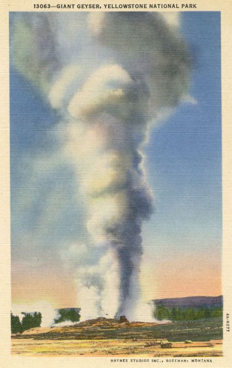 Giant Geyser, Yellowstone National Park (Haynes Studios Inc.) Yellowstone Pictures, West Yellowstone, Yellowstone Park, Architectural Drawing, Landscape Drawings, Good Ole, Old Postcards, Yellowstone National, Yellowstone National Park