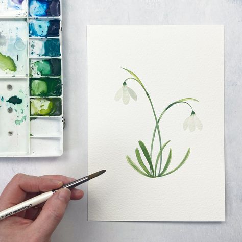 Learn to paint a delicate snowdrop in watercolour with my latest watercolour tutorial on youtube. Click the link to watch! #snowdrop #watercoloursnowdrop #watercolourflowers flower painting #watercolourtutorial #youtubetutorial Snowdrop Flower Watercolor, Snow Drop Flower Painting, Snow Drop Flower Watercolor, Snowdrop Watercolor Paintings, Snow Drop Painting, Snowdrop Flower Painting, Snowdrops Watercolour, Snowdrop Drawing, Snowdrop Watercolor