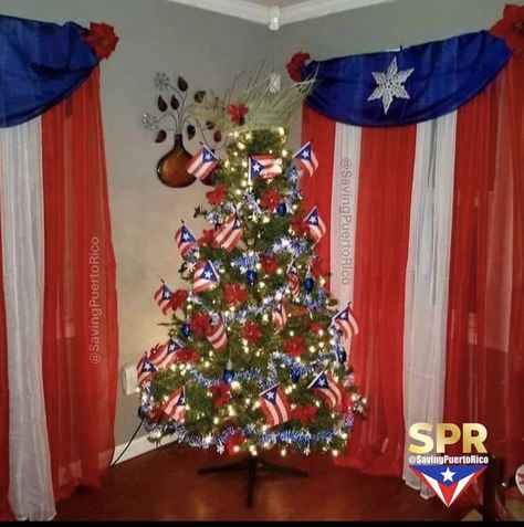 Puerto Rican Christmas Decorations, Puerto Rico Christmas, Christmas In Puerto Rico, Puerto Rican Power, Puerto Rican Christmas, Prayer Jar, Culture Photography, Puerto Rico Pictures, Boricua Recipes