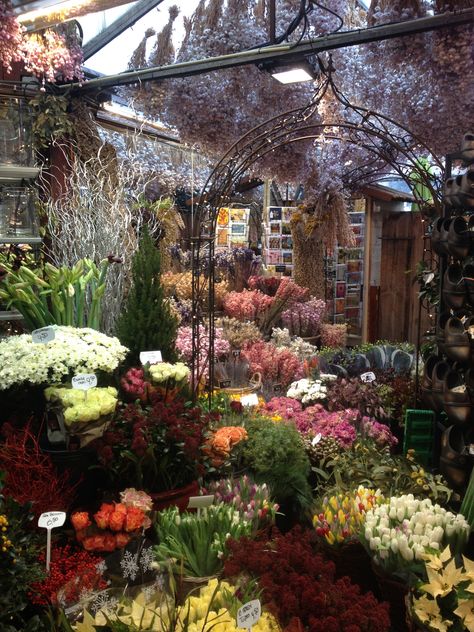 The Bloemenmarkt, otherwise know as Amsterdam's floating flower market. Flower Market Tokyo, Flower Park, Tokyo Aesthetic, Floating Flower, Seattle Usa, Flower Shops, Floating Flowers, Flower Market, Botanical Garden