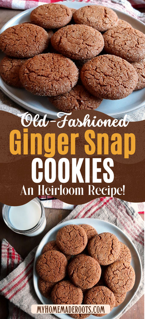 Discover the timeless delight of Old-Fashioned Ginger Snap cookies! These classic gingersnaps, rich in nostalgic flavors, offer the perfect blend of crispiness and spice. These cookies are a must-try for anyone who loves traditional baking. Perfect for holiday gatherings or a cozy treat anytime, this heirloom recipe ensures each bite is packed with authentic, nostalgic taste. Save this pin to your favorite dessert boards and enjoy the homemade goodness of gingersnaps today! High Altitude Ginger Snaps, Pumpkin Ginger Snap Cookies, Soft Ginger Snap Cookies Recipes, Homemade Ginger Bread Cookies, Old Fashioned Cookies Recipes, Old Fashioned Ginger Snaps, Spice Cookies Recipe Holidays, Easy Ginger Bread Cookies, Homemade Ginger Snaps