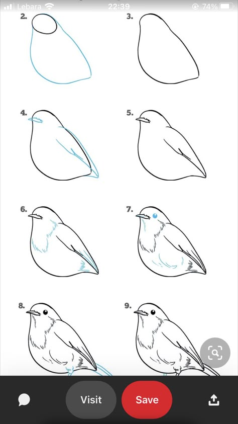 How To Sketch A Bird Step By Step, Bird Art Tutorial, How To Draw Birds Step By Step Simple, How To Draw A Bird Step By Step, How To Draw A Bird, Bird Step By Step Drawing, Bird Drawing Tutorial, How To Draw Birds, Draw Birds