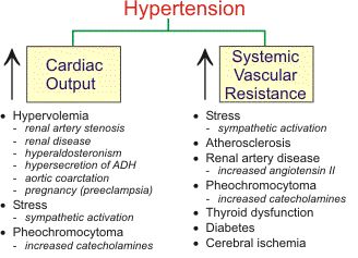 hypertension causes Losing Weight Memes, Blood Pressure Numbers, Blood Pressure Food, Blood Pressure Chart, Blood Pressure Diet, Blood Pressure Cuff, Normal Blood Pressure, Nursing Tips, Nursing Study