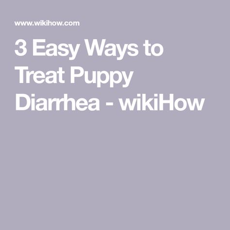 3 Easy Ways to Treat Puppy Diarrhea - wikiHow Veterinary Office, Dog Probiotics, Intravenous Fluids, Bland Diet, Westminster Dog Show, It Professional, Veterinary Hospital, Purebred Dogs, Puppy Food