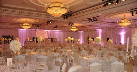 5 Star Wedding Venues | 5 Star Wedding Hotels | Luxury Wedding Venue Star Wedding Decorations, Budget Wedding Venue, Receptions Ideas, Wedding Banquet Hall, Low Budget Wedding, Wedding Halls, Hotels Luxury, Arch Decoration Wedding, Luxury Wedding Venues