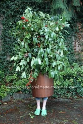 Homemade Bush Costume: Hello, my name is Laura, I’m a senior in high school, and I make crazy costumes for my school’s spirit week and for Halloween, and here I am as bush. This Diy Tree Costume For Adults, Bush Costume, Tree Halloween Costume, Lilo Costume, Spring Costume, Senior In High School, Tree Costume, Vegetable Garden Tips, Crazy Costumes