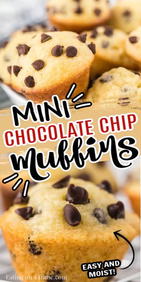 Enjoy Chocolate chip mini muffins recipe for breakfast or a delicious snack. Lots of ooey gooey chocolate make this a tasty treat. Mini Choc Chip Muffins, Mini Muffins Chocolate Chip, Little Debbie Mini Muffins Recipe, Little Bites Muffins Copycat, Banana Bread Mini Muffins, Chocolate Chip Mini Muffins, Mini Muffin Recipe, Choc Chip Muffins, Mini Chocolate Chip Muffins