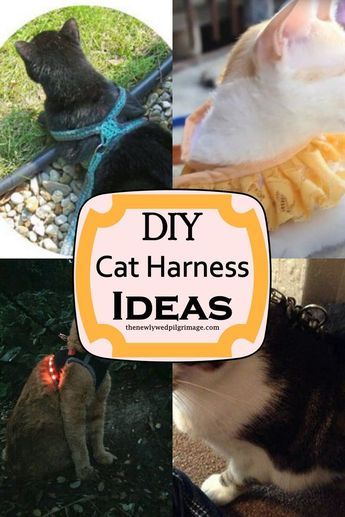 Have you ever thought about making your own Cat Harness? If not, here are 15 DIY Cat Harness Ideas that help keep your attractive pets protected, cozy, and safe! Cat Leash And Harness Diy, Diy Pet Harness, Diy Cat Harness How To Make, Diy Kitten Harness, Cat Harness Crochet, Crochet Cat Harness Free Pattern, Cat Harness Diy Pattern, Crochet Cat Harness, Diy Cat Harness