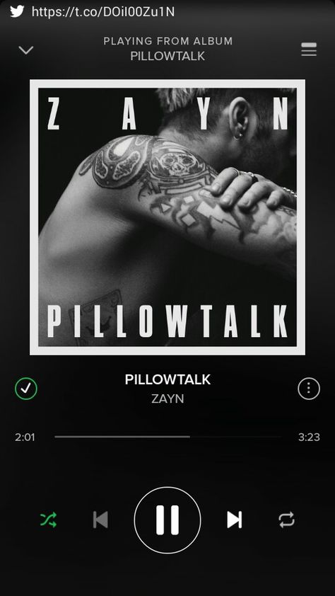 #PillowTalk Pillowtalk Lyrics, Pillow Talk Zayn, Ziam Mayne, Spotify Codes, Spotify Code, Pillow Talk, My Chemical, Album Songs, Zayn Malik