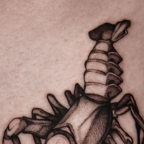 Crawfish Tattoo, On October 3rd, Tattoos, On Instagram, Instagram