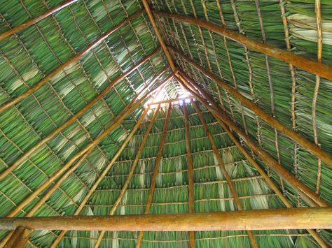 how to tie on a palm frond roof Tropical Cottage, Palm Weaving, Thatch Roof, The Caretaker, Roofing Felt, Tiki Hut, Architecture Design Drawing, Cob House, Pergola With Roof