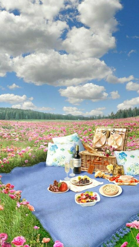 Anime Picnic Background, Background Pernikahan, Picnic Drawing, Background Zepeto Room, Disney Drawing Tutorial, New Nature Wallpaper, Wattpad Background, Studio Backdrops Backgrounds, Episode Interactive Backgrounds