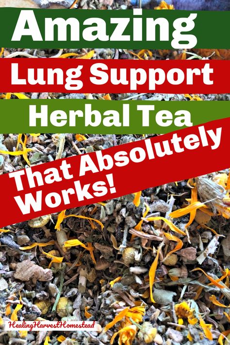 Lung Remedies, Lung Support, Home Apothecary, Tea Blends Recipes, Teas Recipes, Best Herbal Tea, Difficulty Breathing, Health Articles Wellness, Health And Wellness Quotes