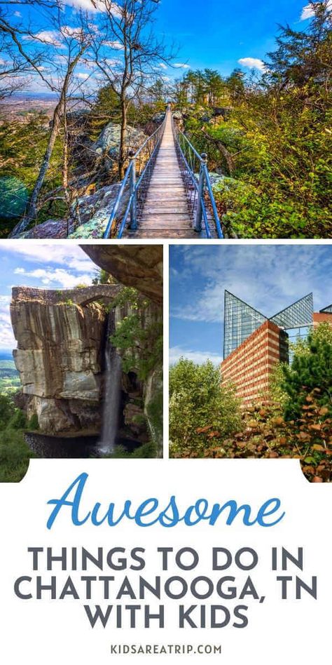 If you are looking for a vacation destination families will love, head to Chattanooga Tennessee. With plenty of outdoor adventures and one of the best aquariums we've ever seen, we are sure you will find plenty of things to do in Chattanooga. - Kids Are A Trip |Chattanooga TN| Tennessee travel| Chattanooga Tennessee things to do |tennessee vacation Tennessee Family Vacation, Tennessee Road Trip, Tennessee Travel, Tennessee Vacation, Chattanooga Tennessee, Usa Travel Guide, Toddler Travel, Chattanooga Tn, Family Travel Destinations