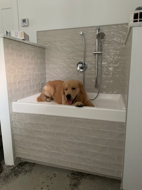 Dog Shower In Bathroom, Dog Bath Ideas, Pet Shower In Laundry Room, Dog Grooming Station At Home, Grooming Room Ideas, Dog Grooming Salon Ideas Design, Dog Showers, Dog Baths, Dog Grooming Salon Decor