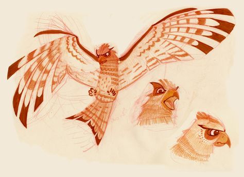 Hawk Character Design, Avian Character Design, Bird Character Design, Love Character, Animal Character, Wings Art, Animal Sketches, Blog Website, Illustration Character Design