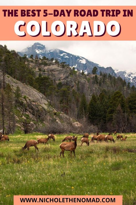 Although you could spend months, if not years, exploring everything Colorado offers, you can explore a few beautiful spots in a 5-day road trip itinerary. If you want to plan an incredible road trip, you are in the right place! This guide has everything you need to know about the best 5-day Colorado road trip itinerary. Colorado Road Trip Itinerary, Colorado Road Trip, Colorado Travel Guide, Road Trip To Colorado, United States Photography, Hiking Photography, Adventure Guide, Colorado Travel, Hiking Tips