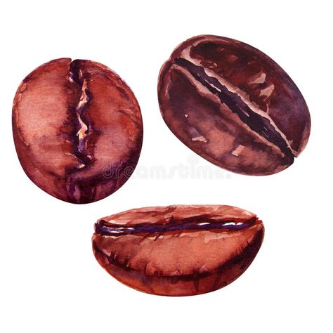 Coffee Bean Art, Coffee Watercolor, Coffee Shop Business, Watercolor Beginner, Fashion Drawing Sketches, Watercolor Food, Coffee Roaster, Watercolor Fruit, Female Art Painting