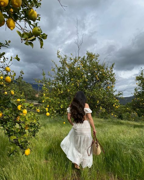 Swapping lemons for apple picking soon🍎🧺🍂 . . . . prefall ootd cottagecore girl pinterest inspo aesthetic country Fall List, Cottagecore Girl, Apple Picking Outfit, Aesthetic Country, Girl Pinterest, Spring Maxi Dress, Cottagecore Outfits, Long Wavy Hair, Apple Picking