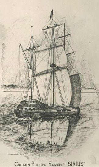 The wreck of a First Fleet ship which once carried Governor Phillip has been given National Heritage status. Australian Convicts, Primary History, First Fleet, Welcome Images, Lion And Unicorn, Australia History, Maritime Art, Norfolk Island, Australian History