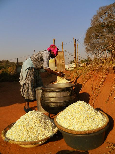 Sorting and Gathering Clifton Beach, Pliny The Elder, Global Cuisine, Out Of Africa, My Grandmother, Maize, People Of The World, Africa Travel, Most Favorite