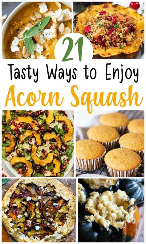 Acorn Squash Recipes Healthy, Cook Acorn Squash, Sausage Stuffed Acorn Squash, Healthy Squash Recipes, Acorn Squash Soup, Creamy Pumpkin Soup, Acorn Squash Recipes, Baked Squash, Squash Salad