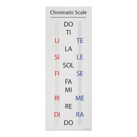 Chromatic Scale Solfege Banner Posters Music Preschool, Choir Classroom, Chromatic Scale, Choir Room, Sight Singing, Music Classroom Ideas, Learn Singing, Top Gifts For Kids, Vocal Training