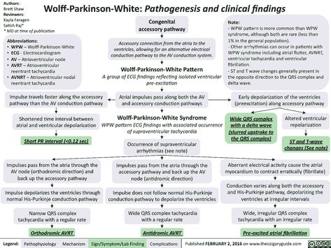 Atrial Fibrillation in the Wolff-Parkinson-White (WPW) Syndrome Wolff Parkinson White Syndrome, Bundle Branch Block, Pr Interval, Normal Heart, Atrial Fibrillation, Emergency Care, Critical Care, Cardiology, Medicine