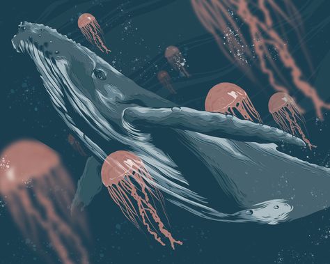 Whale & Jellyfish on Behance Whale Illustration Art, Illustration Whale, Floating Jellyfish, Whale Poster, Whale Drawing, Whale Illustration, Adobe Illustrator Draw, Jellyfish Print, Jellyfish Tattoo