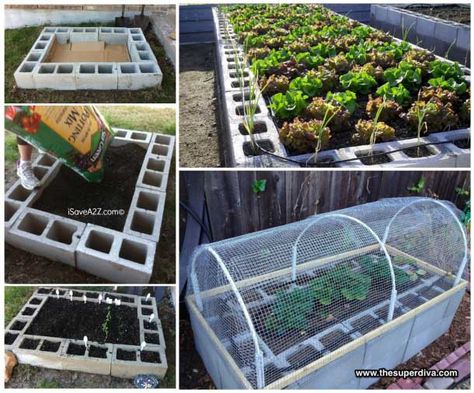 Cinder Block Raised Garden Bed #cinderblock #garden #decorhomeideas Cinder Block Garden Wall, Raised Bed Garden Design, Cinder Block Garden, Vegetable Beds Raised, Diy Garden Bed, Garden Boxes Raised, Building Raised Garden Beds, Cinder Blocks, Vegetable Garden Raised Beds