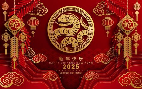 Happy Chinese New Year 2025, 2025 Chinese New Year, Chinese New Year 2025, Chinese New Year Snake, Lunar New Year Background, Lunar New Year Design, Cny 2025, Flower Lantern, Chinese New Year Background