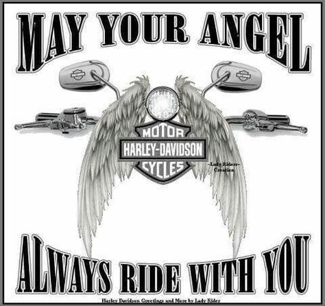 Prayer Harley Quotes, Hd Fatboy, Save Gif, Harley Davidson Quotes, Harley Motorcycles, Harley Davidson Signs, Harley Davidson Tattoos, Garage Diy, Biker Stuff