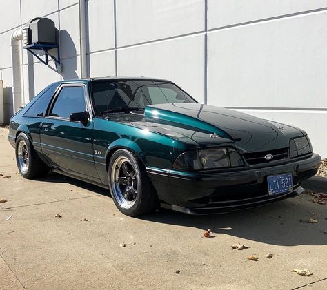 89 Fox Body Mustang, Fox Body Mustang Hatchback, Foxbody Mustang Hatchback, Mustang Hatchback, Notchback Mustang, Ford Fox, Foxbody Mustang, 2024 Ford Mustang, Fox Mustang