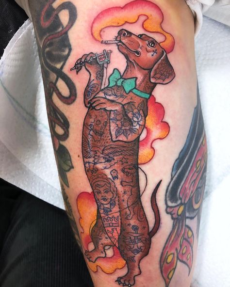 Guen Douglas on Instagram: “Yesterday was Hallo-WIENER SWIPE FOR CLOSE UPS at the back of an upper arm, in an awkward gap we managed to squeeze this tattooer sausage.…” Traditional Dachshund Tattoo, Dachshund Tattoo, Bright Tattoos, Traditional Tattoo Sleeve, Tattoo Now, Tattoo Traditional, Traditional Tattoo Flash, Upper Arms, Neo Traditional