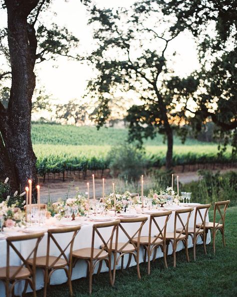 Vineyard Dinner Party, Vineyard Wedding Theme, Vineyard Dinner, Rustic Italian Wedding, Ojai Wedding, Romantic Wedding Centerpieces, Jewish Wedding Ceremony, Romantic Wedding Receptions, Outdoor Dinner Parties