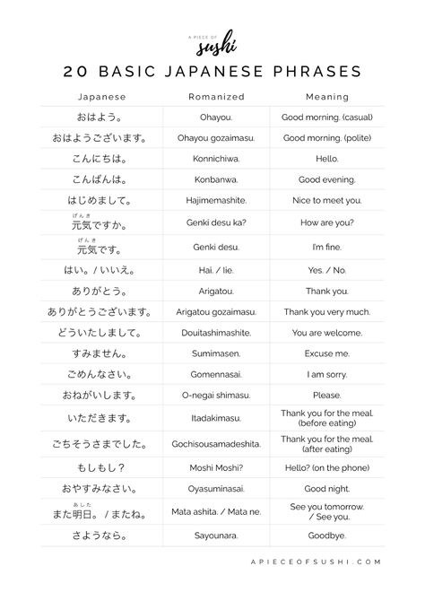 20 Basic Japanese Phrases for Beginners + Free Printable PDF + Audio Hiragana Words Japanese Phrases, Japanese Words For Beginners, Japanese Notes For Beginners, Hiragana Phrases, Best Anime For Beginners, Katakana Words Japanese Phrases, Japanese Words Learning Basic, Basic Japanese Words And Phrases, Japan Phrases Words