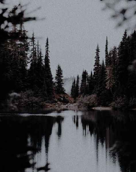 Nordic Aesthetic Wallpaper, Terrasen Tog Aesthetic, Terrasen Aesthetic, Alan Aesthetic, Tog Aesthetic, Twilight Oc, Boris Pavlikovsky, Wolf Boy, Kate Stewart