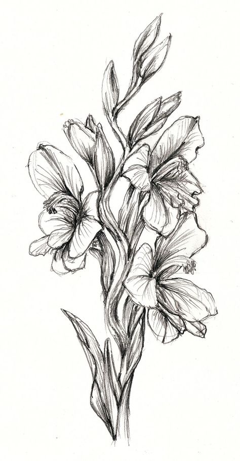 Gladiolus Sketch, Gladiolas Tattoo, Coverup Tattoo, Flowers Tattoo, Flower Sketches, Art Patterns, Cover Up Tattoo, Tat Ideas, Irises